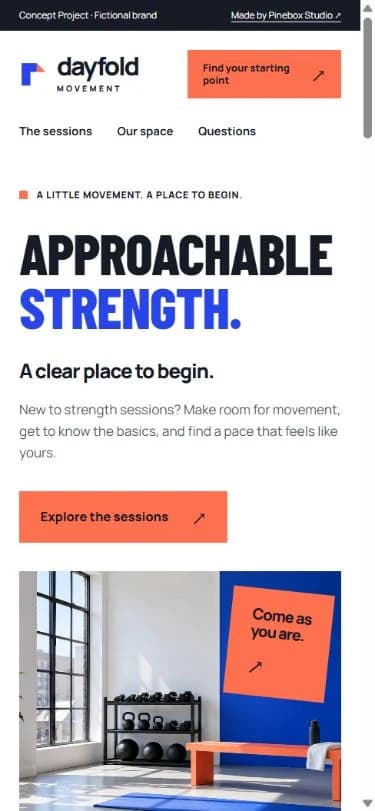Dayfold’s mobile landing page with its concept disclosure, wordmark, and large Approachable strength headline.